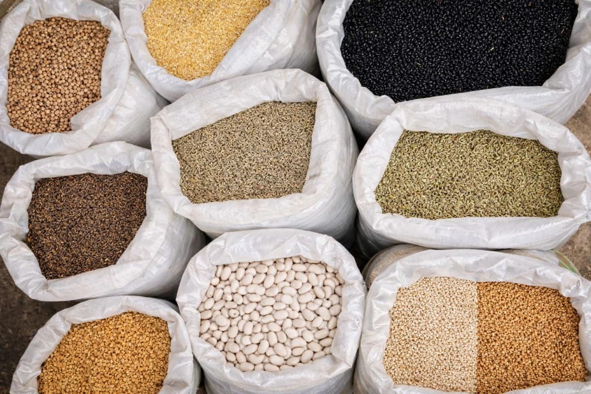Aromatic Seeds