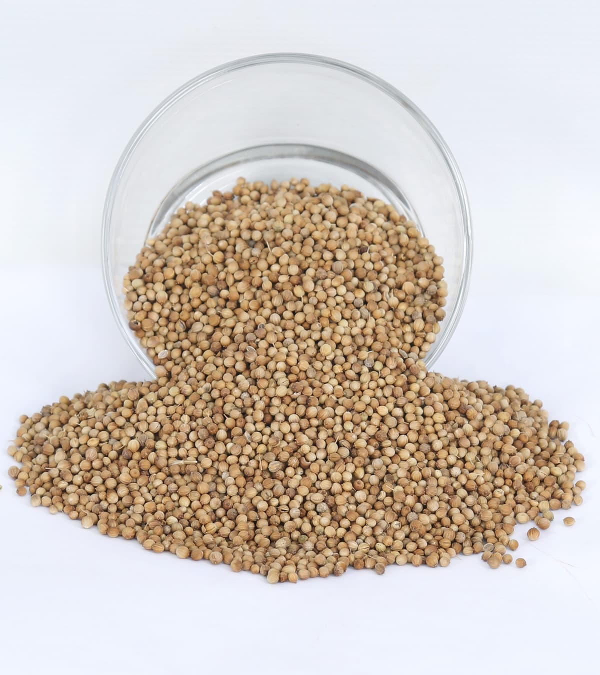 Coriander Seeds